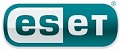 Бизнес партнер ESET